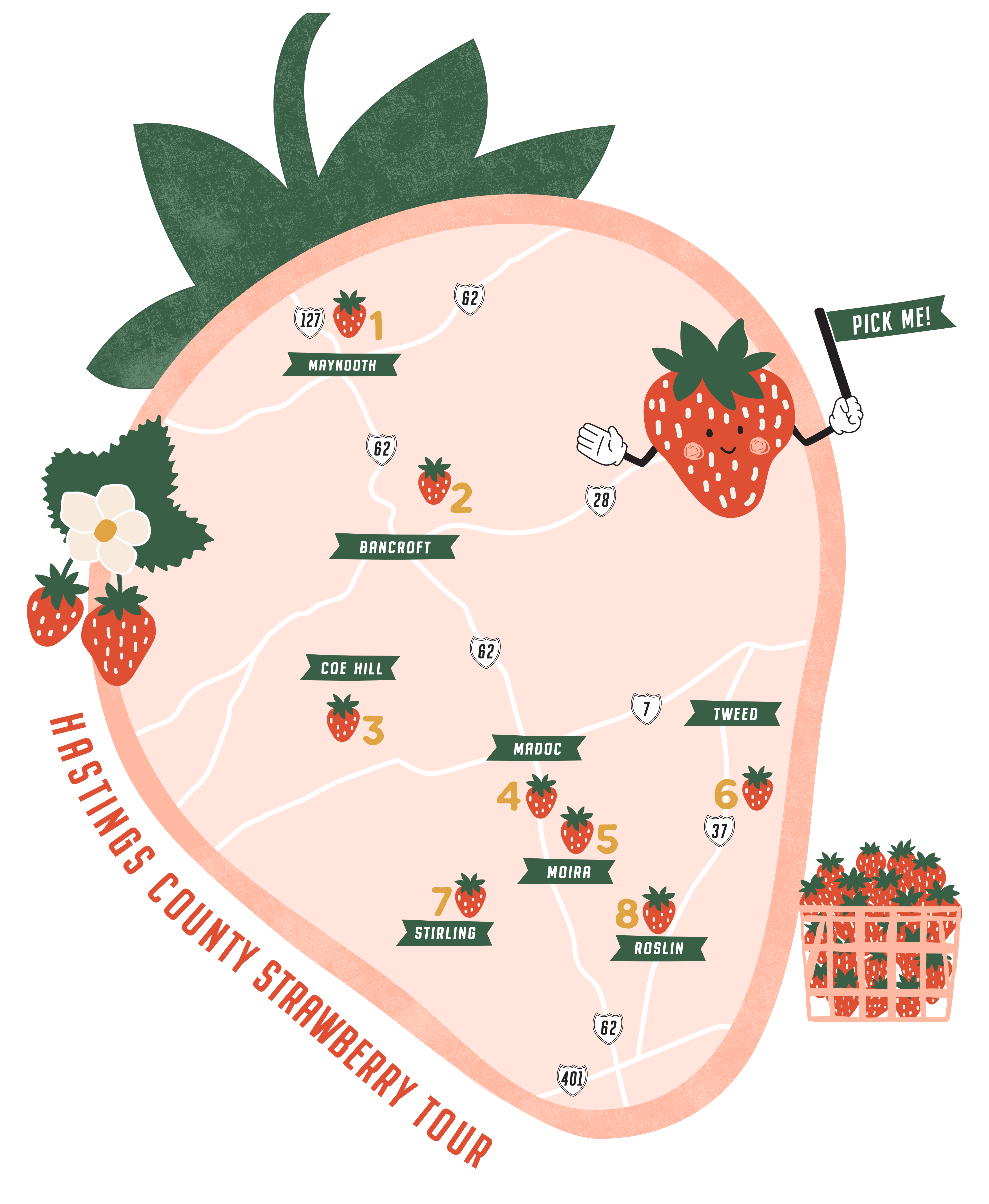 Fun design of a map in the shape of a strawberry identifying all the pick your own Strawberry Patches in Hastings County for visitors