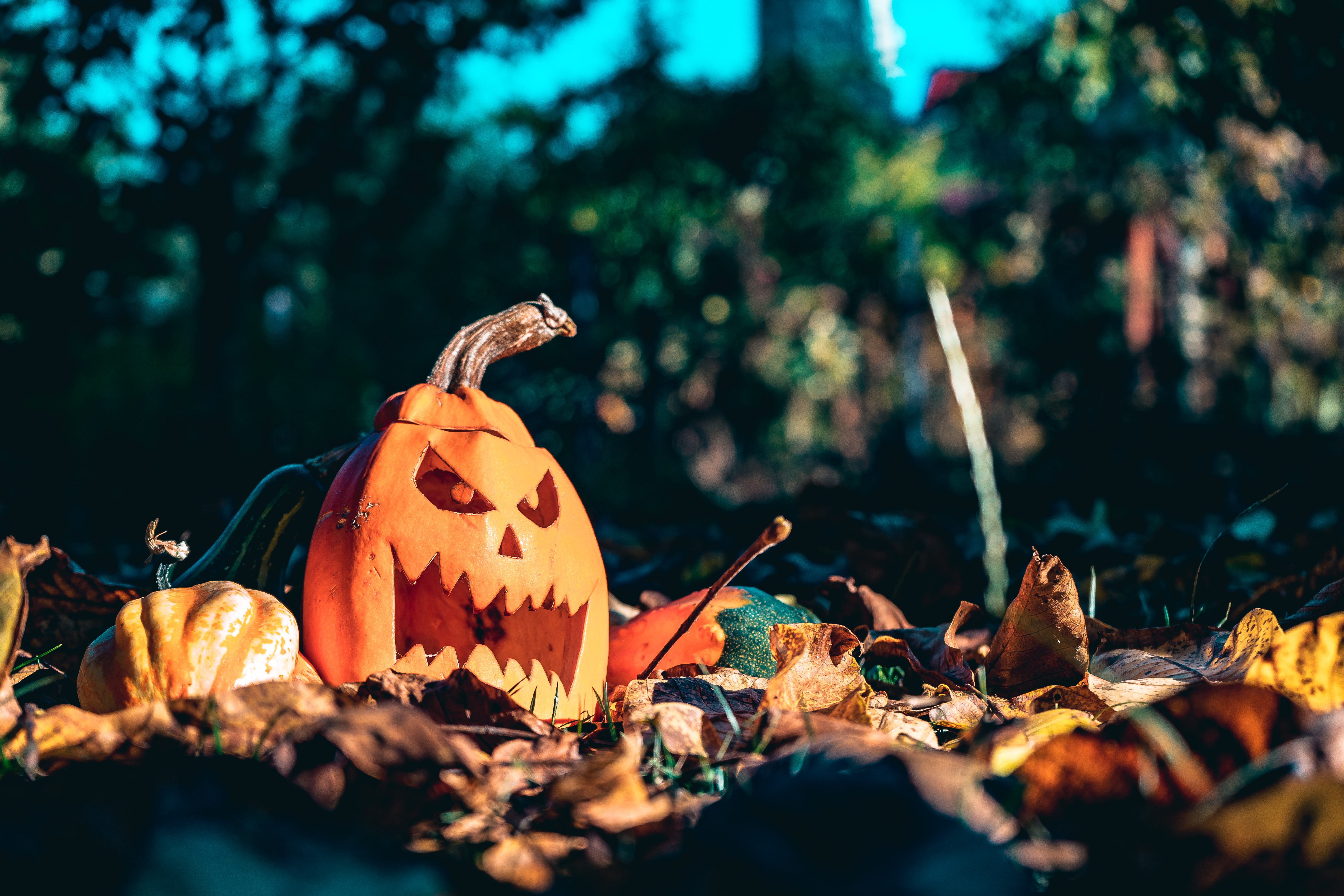 Spooky season is nigh: What to do for Halloween in Hastings County