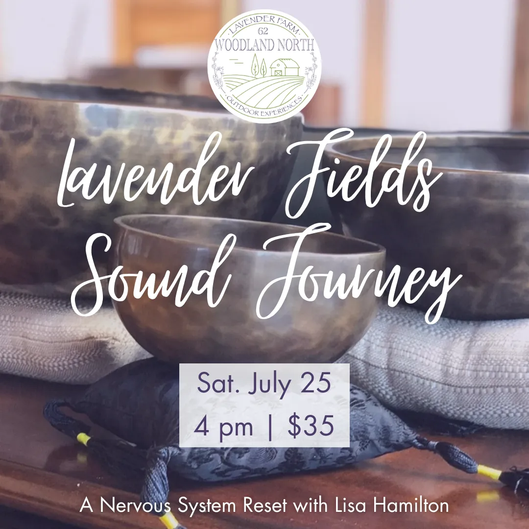 Article Header Image