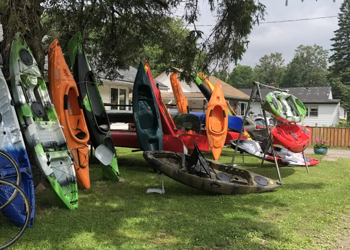 Several kayaks leaning upright in front of a store in Bancroft on a grass lawn