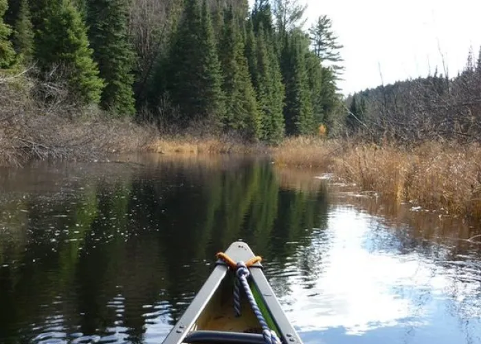 View of the bow of a canoe on a calm lake with trees in the distance
