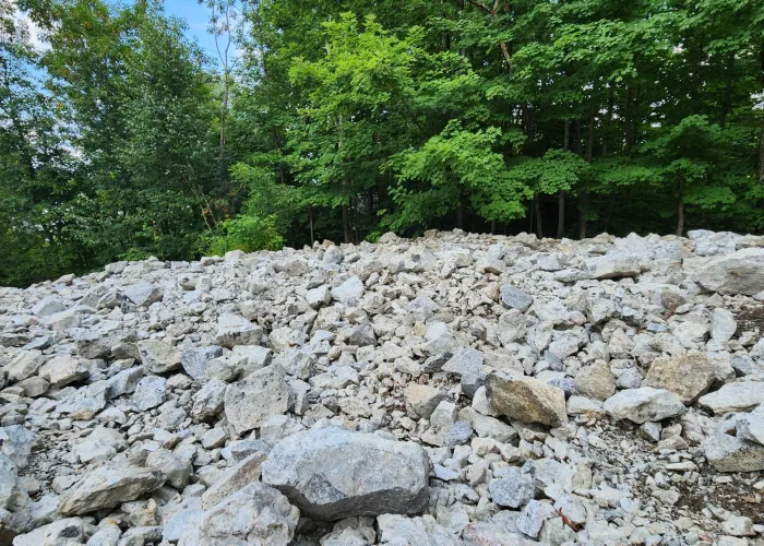 Rocks on a hill with trees in background
