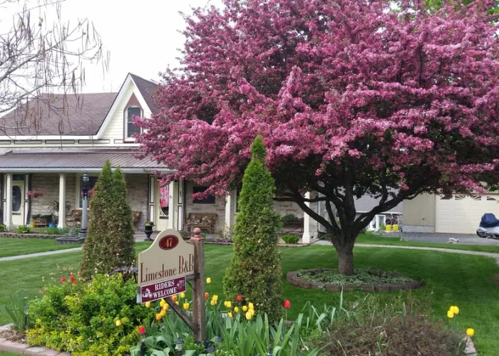 Outside view of Limestone B&B in Marmora, On with lilac tree in full bloom