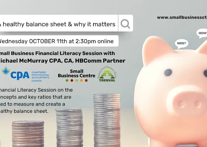 Healthy Balance Sheet and Why It Matters poster