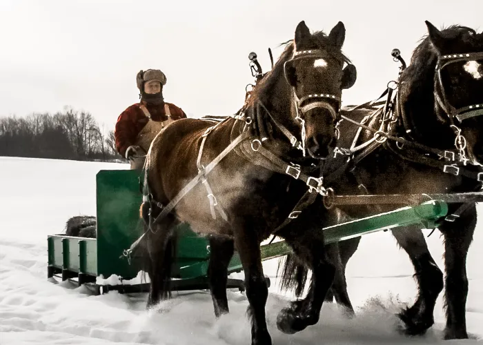 Sleigh Ride