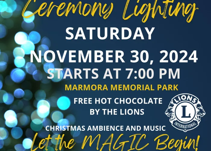 Christmas Moonlight Magic Ceremony Poster