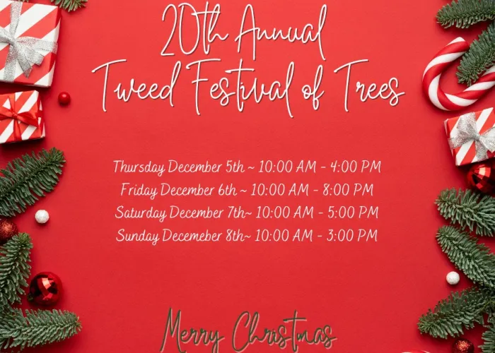 Tweed Festival of Trees