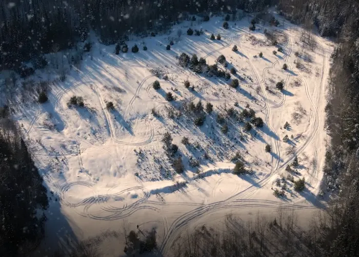 An aerial view of snow covered land with trails and trees. 