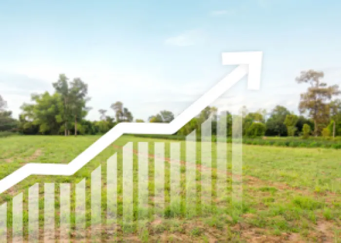 A picture of land with a white arrow pointing upwards like a stock market or investment portfolio. 