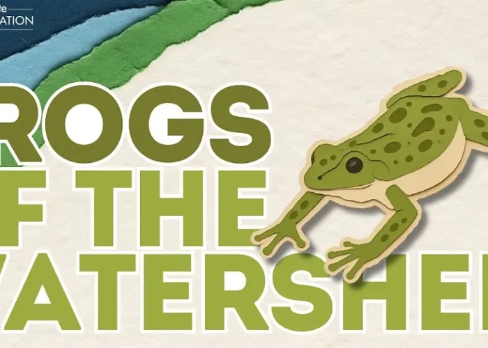 Quinte conservation Logo, cartoon frog jumping onto event title