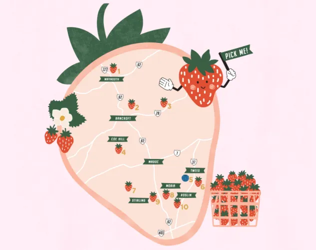 Berry Map